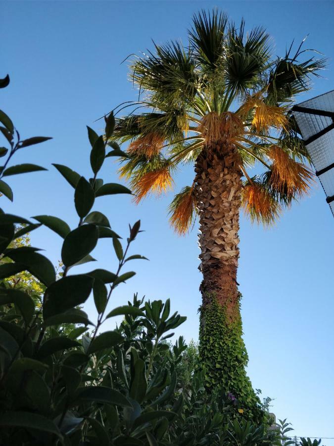 La palmeraie Marsiglia Esterno foto